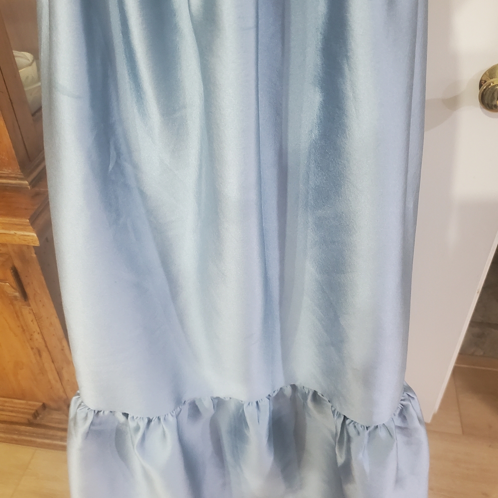 Petal & Pup Blue Maxi Dress - Picture 6 of 10
